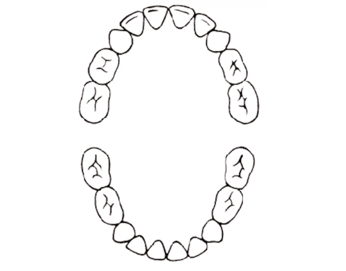 Palmer Numbering Primary Dentition Quiz palmer-numbering-primary-dentition-quiz