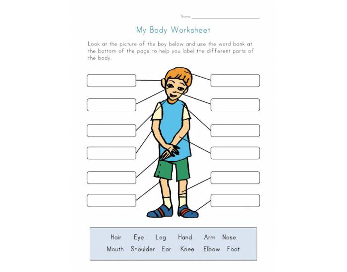 Use the words to label the. Части тела Worksheets. Задания на тело человека английский. Части тела на английском Worksheets. Parts of body задания для детей.