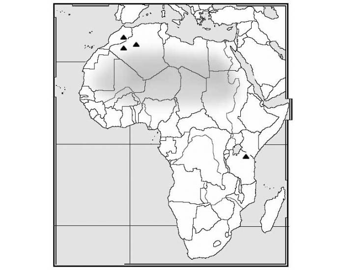 Контурная карта 10 11 класс география африка. Карта Африки контурная карта. Политическая карта Африки контурная карта. Контурная карта Африки с границами государств. Африка политическая карта 7 класс контурные карты.