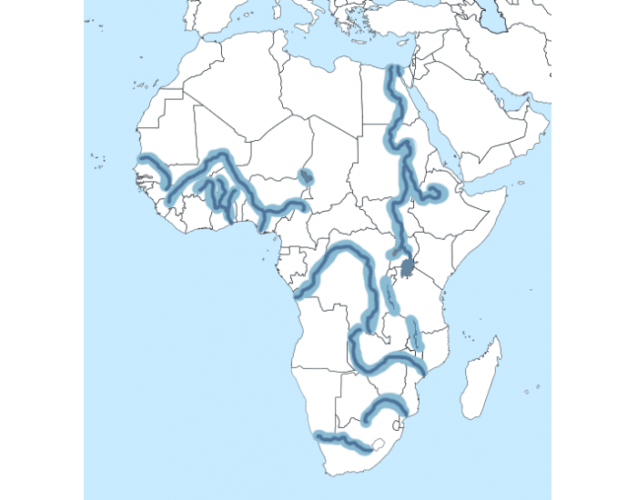 Реки африки на карте. Реки и озера Африки на контурной карте 7 класс. Реки и озера Африки на карте. Реки Африки на контурной карте Африки. Реки и озера Африки на контурной карте.