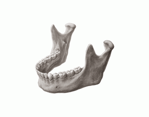 Calambres en la mandibula