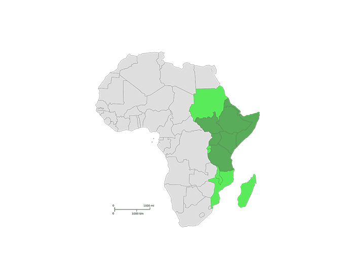 Острова юго восточной африки. Северо Восточная Африка на карте. Северо Восток Африки. Северная и юговосточнпя Африка.