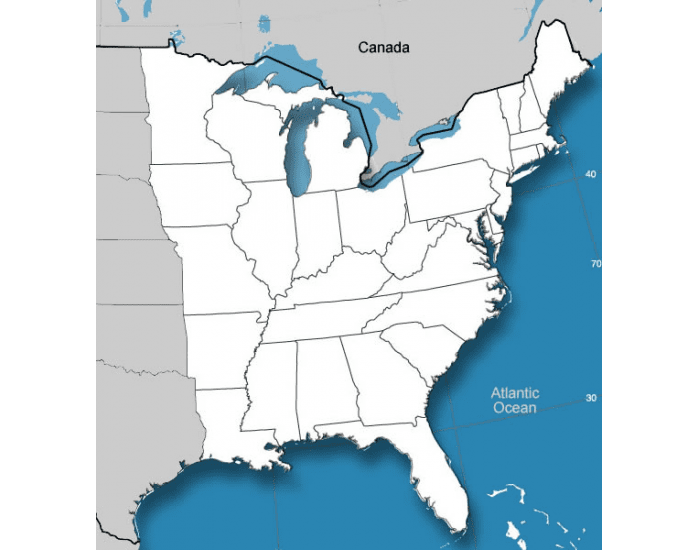 Карта восточной америки. Восточное побережье США на карте. Восточное побережье Америки на карте. Карта Штатов восточного побережья США. Восточное побережье США штаты.