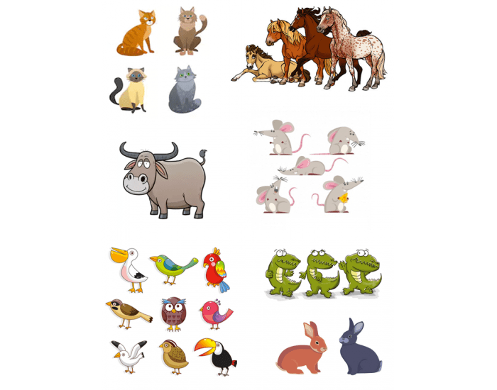 How many animals live. Животные for Kids. Животные can. How many animals. How many animals for Kids.