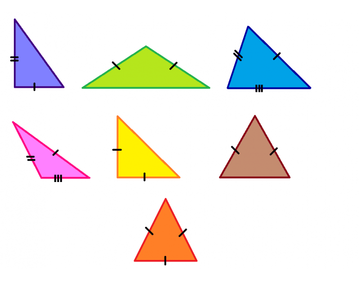 Треугольник виды треугольников равные треугольники. Различные виды треугольников. Разные треугольники. Треугольники разной формы.