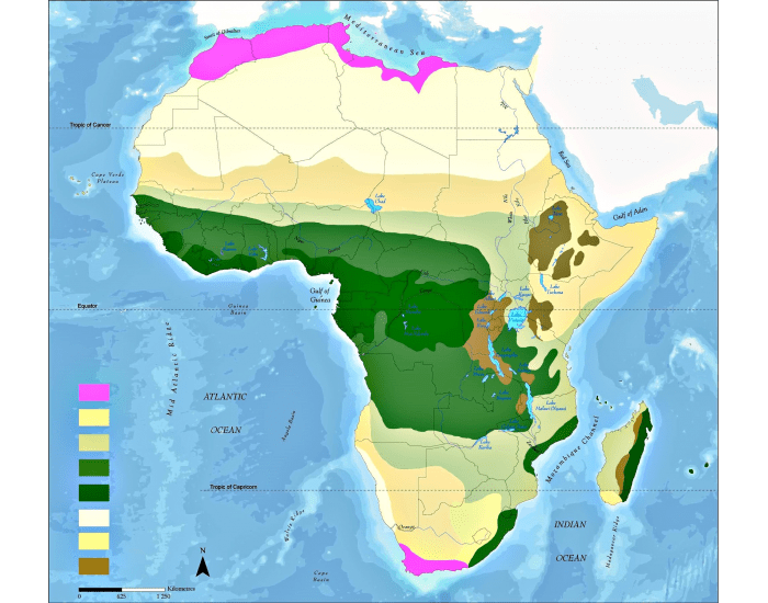 Карта африки тропики