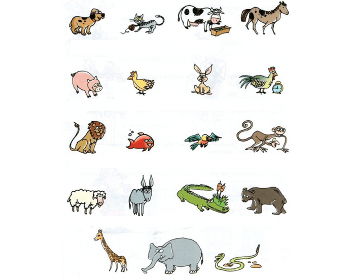 Название животных парами. Названия животных на немецком. Слова животные на немецком. Животные по немецки карточки. Немецкие слова животных.